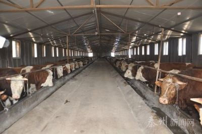 聚力精準(zhǔn)扶貧 秦州發(fā)展畜牧養(yǎng)殖助力農(nóng)民增收與牧場(chǎng)工程設(shè)計(jì)