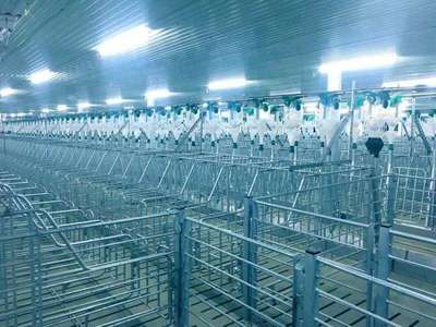 171天，見(jiàn)證希望速度 嘉祥7500頭母豬場(chǎng)項(xiàng)目順利竣工